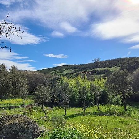 Quinta Da Utopia Castelo de Vide Exteriér fotografie