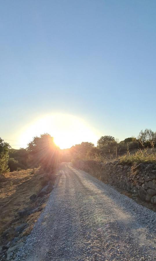 Quinta Da Utopia Castelo de Vide Exteriér fotografie