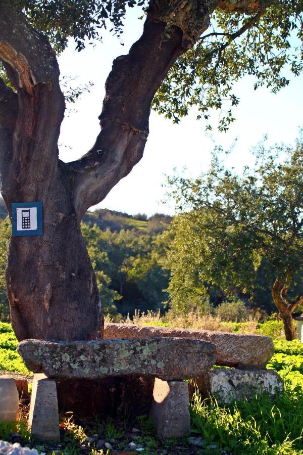 Quinta Da Utopia Castelo de Vide Exteriér fotografie
