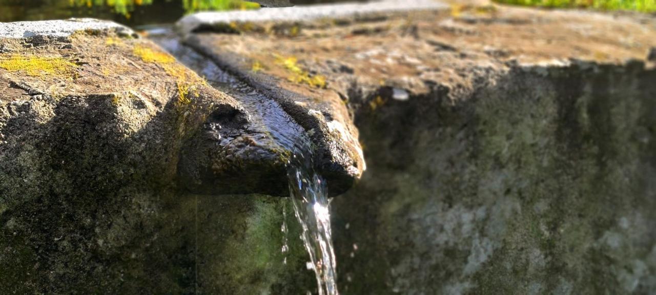 Quinta Da Utopia Castelo de Vide Exteriér fotografie