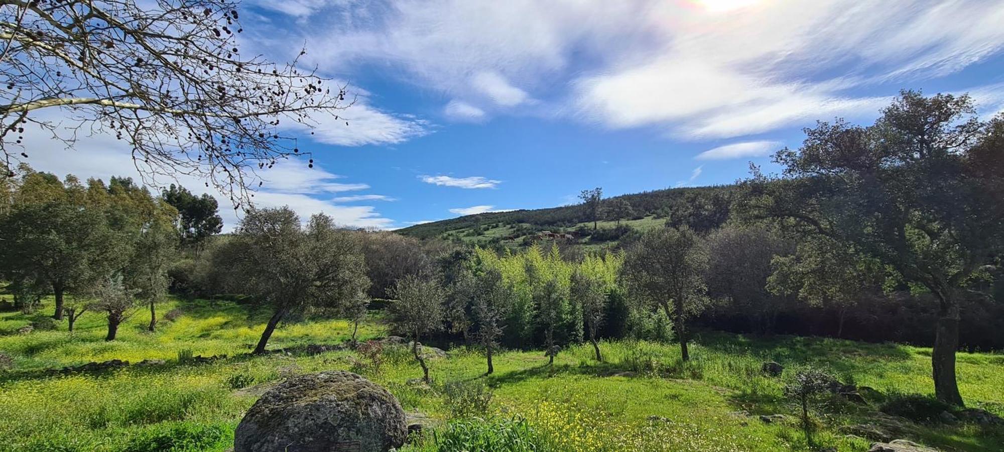 Quinta Da Utopia Castelo de Vide Exteriér fotografie