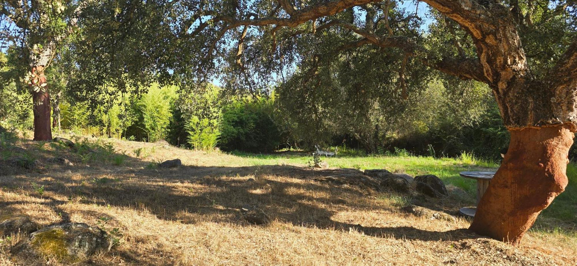 Quinta Da Utopia Castelo de Vide Exteriér fotografie